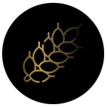 Melhor cevada do mundo para fazer whisky